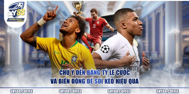 Chú ý đến bảng tỷ lệ cược và biến động để soi kèo hiệu quả